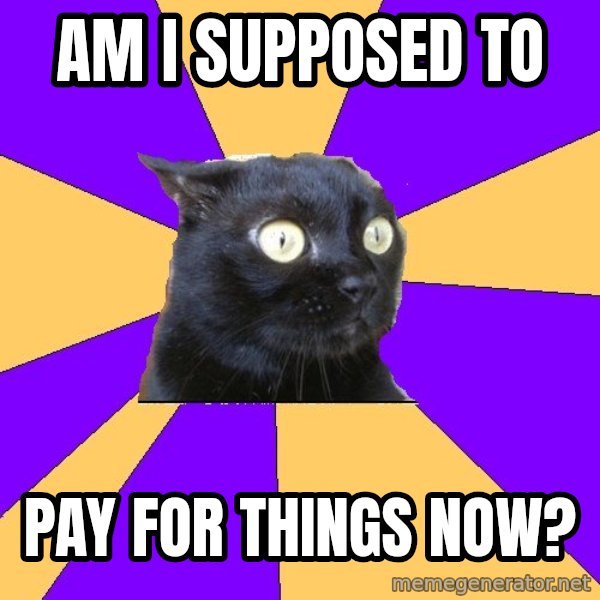 Anxiety Cat meme: Am I supposed to / pay for things now?