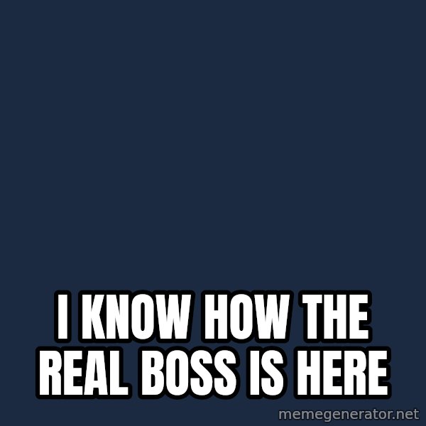I have no idea what I'm doing - Dog with Tie meme: I know how the real boss is here