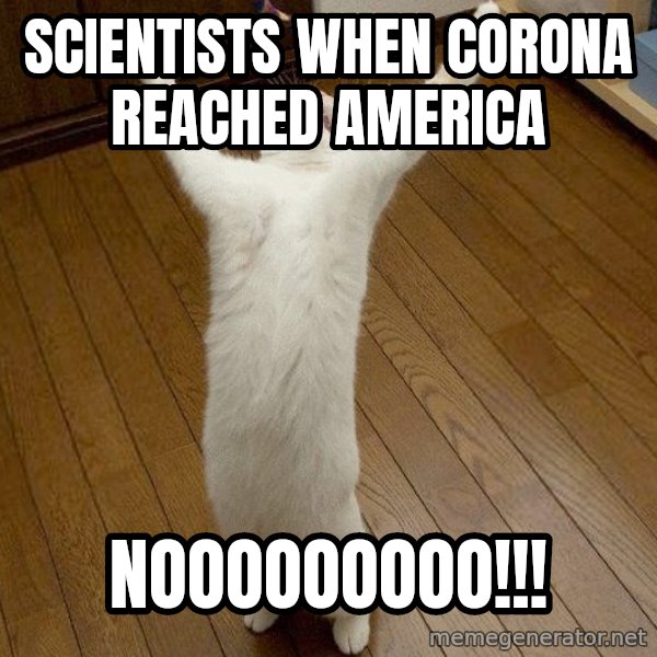 praise the lord cat meme: scientists when corona reached america / nooooooooo!!!