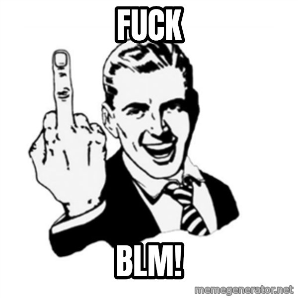 middle finger meme: Fuck / Blm!