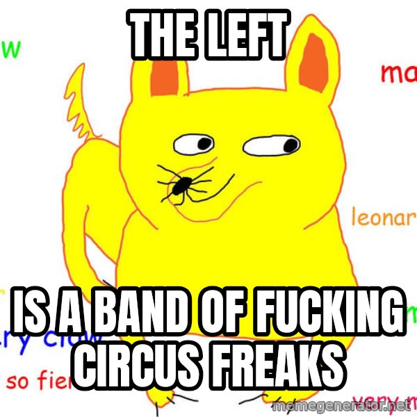 Grumpy Cat  meme: The left / Is a band of fucking circus freaks