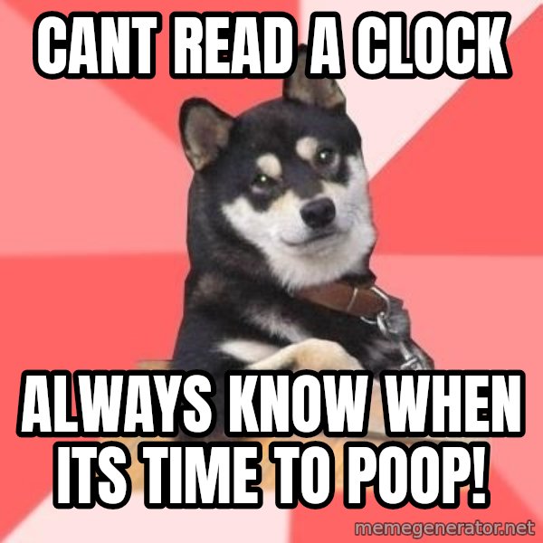 Cool Dog meme: cant read a clock / Always know when its time to poop!