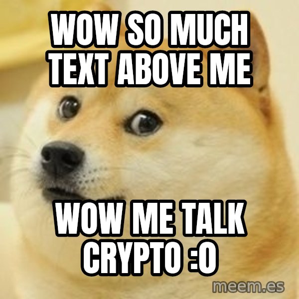 Real Doge meme: wow so much text above me / wow me talk crypto :0