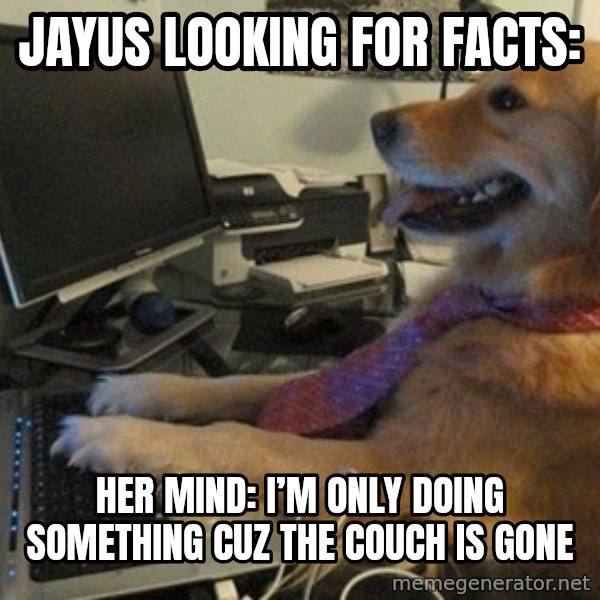 I have no idea what I'm doing - Dog with Tie meme: Jayus looking for facts: / Her Mind: I’m only doing something cuz the couch is gone