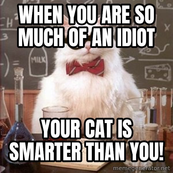 Chemistry Cat meme: When you are so much of an idiot / your cat is smarter than you!