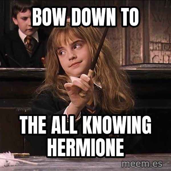 Hermione Leviosa meme: Bow down to / the all knowing Hermione