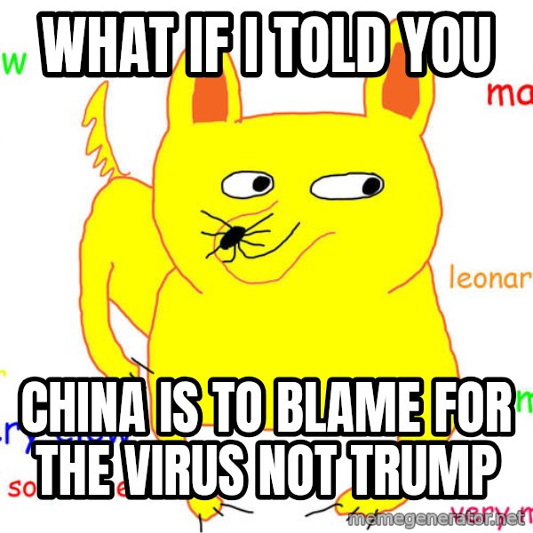 What If I Told You meme: what if i told you / china is to blame for the virus not trump