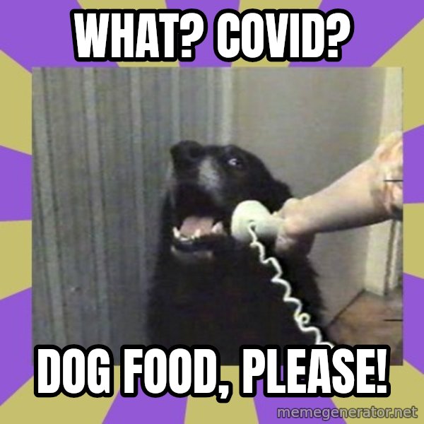 Yes, this is dog! meme: What? Covid? / Dog food, please!