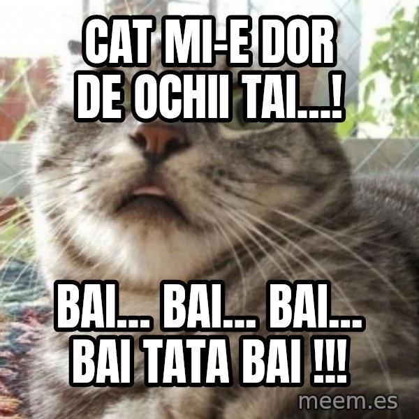 scared cat meme: cat mi-e dor de ochii tai...! / Bai... Bai... Bai... Bai tata bai !!!