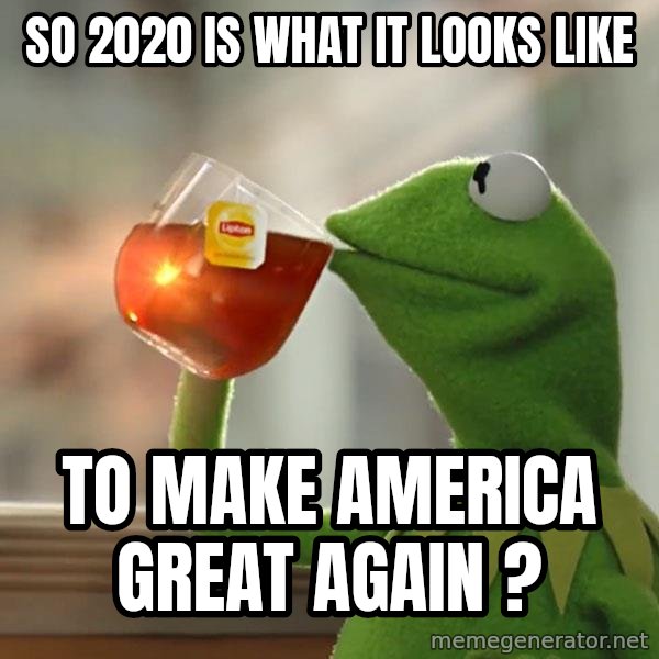 Kermit The Frog Drinking Tea meme: So 2020 is what it looks like / to make America great again ?