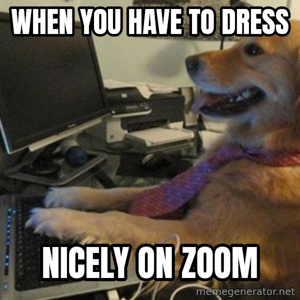 I have no idea what I'm doing - Dog with Tie meme: When you have to dress / Nicely on zoom
