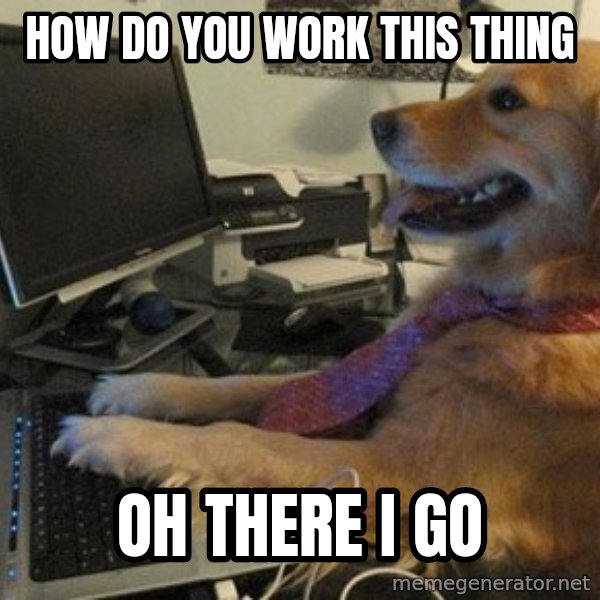 I have no idea what I'm doing - Dog with Tie meme: How do you work this thing / Oh there I go