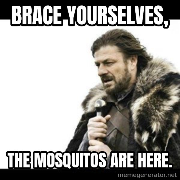 Winter is Coming meme: Brace yourselves, / the mosquitos are here.
