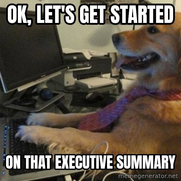 I have no idea what I'm doing - Dog with Tie meme: OK, Let's get started / on that executive summary