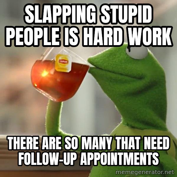 Kermit The Frog Drinking Tea meme: Slapping stupid people is hard work / there are so many that need follow-up appointments