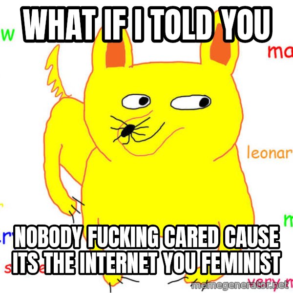 What If I Told You meme: what if i told you / nobody fucking cared cause its the internet you feminist