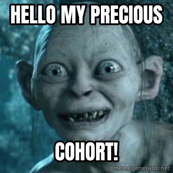 My Precious Gollum meme: Hello my precious / cohort!