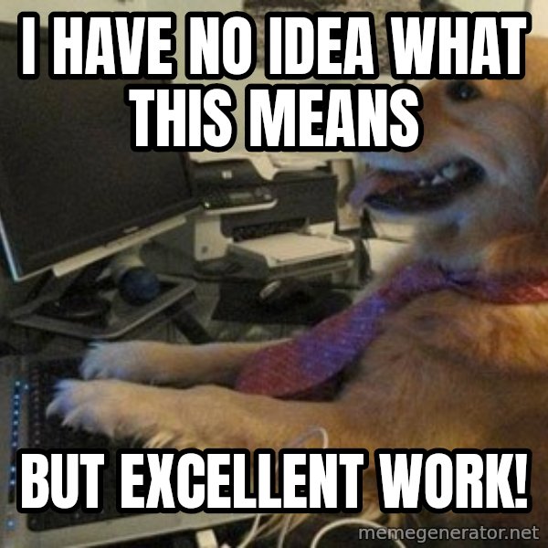 I have no idea what I'm doing - Dog with Tie meme: I have no idea what this means / But excellent work!