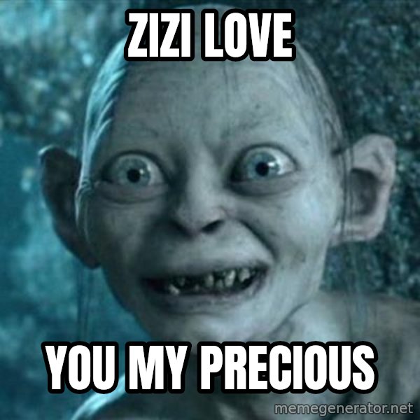 My Precious Gollum meme: Zizi Love / You my precious