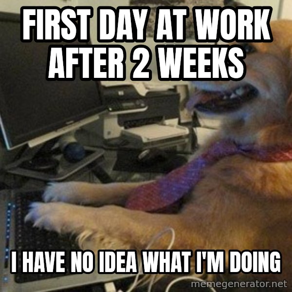 I have no idea what I'm doing - Dog with Tie meme: first day at work after 2 weeks / i have no idea what i'm doing