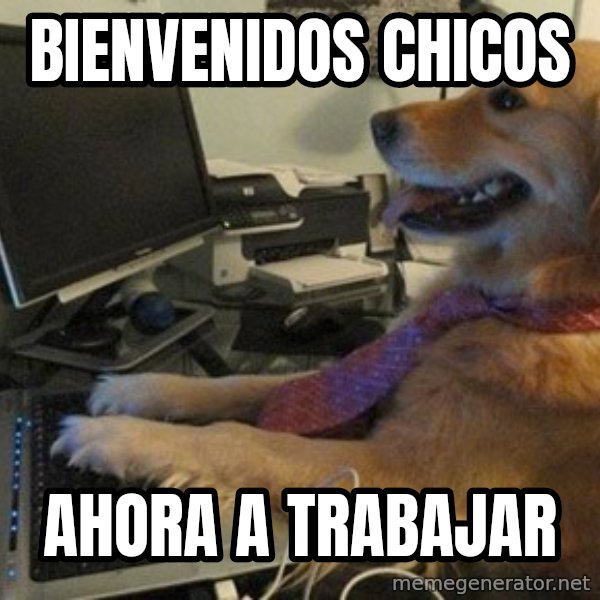 I have no idea what I'm doing - Dog with Tie meme: Bienvenidos chicos / ahora a trabajar