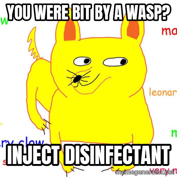 Grumpy Cat  meme: You were bit by a wasp? / inject disinfectant