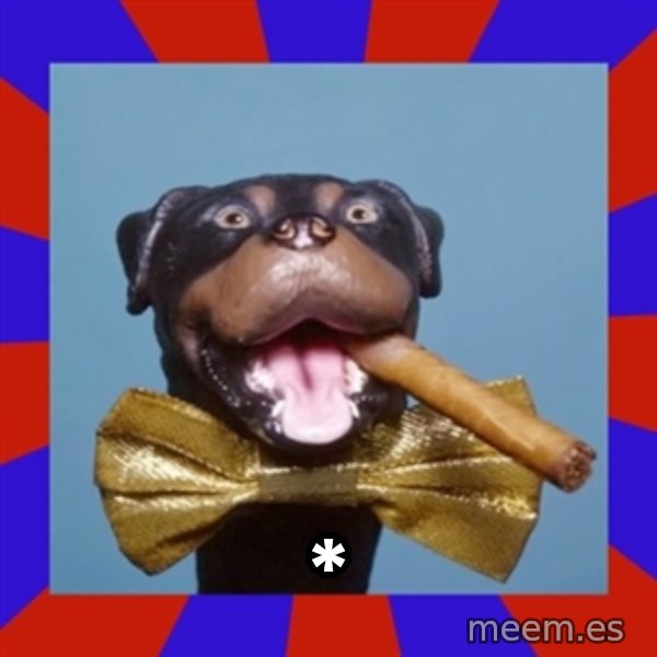 Triumph the Insult Comic Dog meme: *