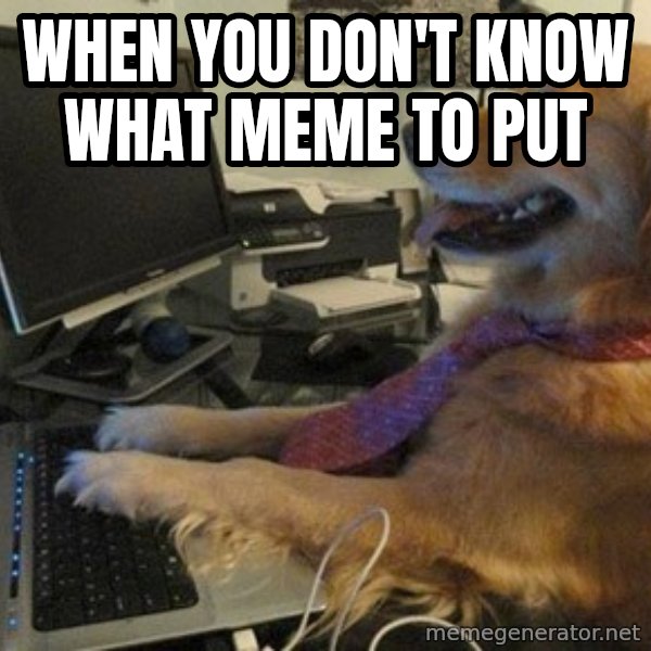 I have no idea what I'm doing - Dog with Tie meme: when you don't know what meme to put