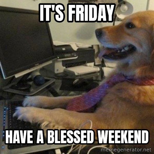 I have no idea what I'm doing - Dog with Tie meme: It's Friday / Have a Blessed Weekend
