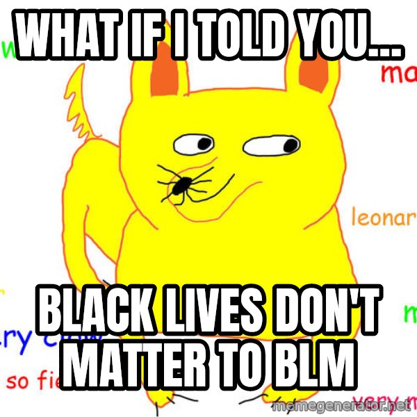 What If I Told You meme: what if i told you... / black lives don't matter to BLM