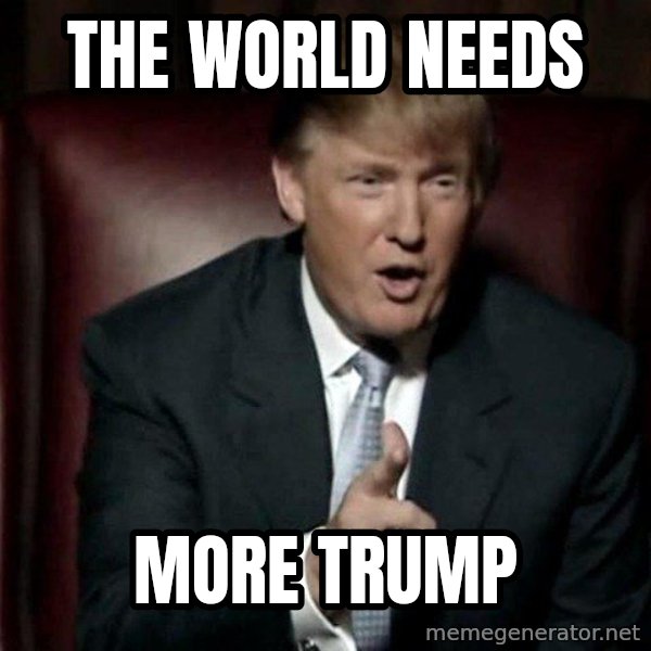Donald Trump meme: the world needs / more trump