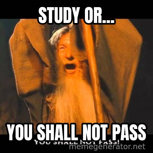 You Shall Not Pass Gandalf With Bottom Text meme: study or... / you shall not pass