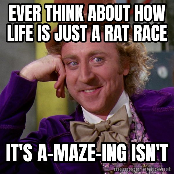 Willy Wonka meme: Ever think about how life is just a rat race / It's a-maze-ing isn't