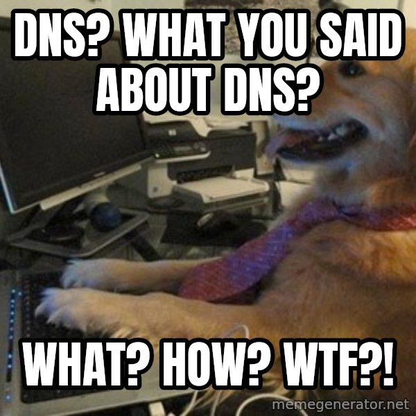 I have no idea what I'm doing - Dog with Tie meme: DNS? What you said about DNS? / What? How? WTF?!