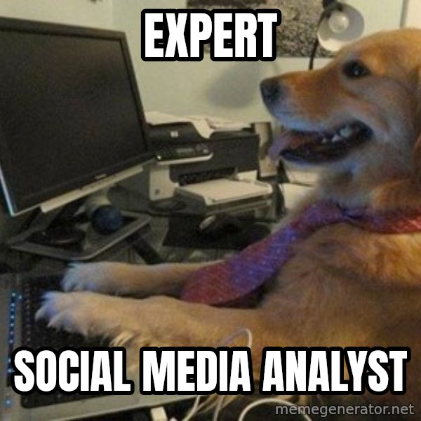 I have no idea what I'm doing - Dog with Tie meme: expert / Social Media Analyst