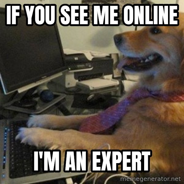 I have no idea what I'm doing - Dog with Tie meme: If you see me online / I'm an expert