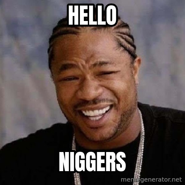 Yo Dawg meme: hello / niggers