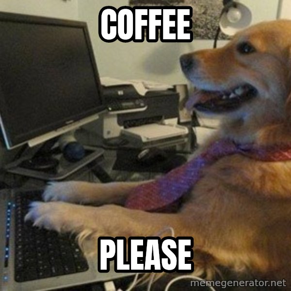 I have no idea what I'm doing - Dog with Tie meme: coffee / please
