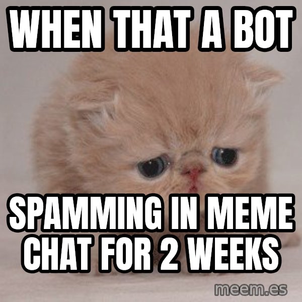 Super Sad Cat meme: When that a bot / Spamming in meme chat for 2 weeks