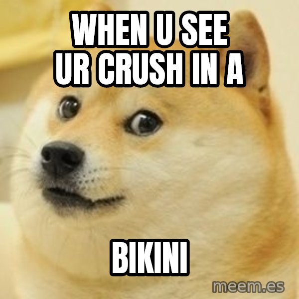 Real Doge meme: when u see ur crush in a / bikini