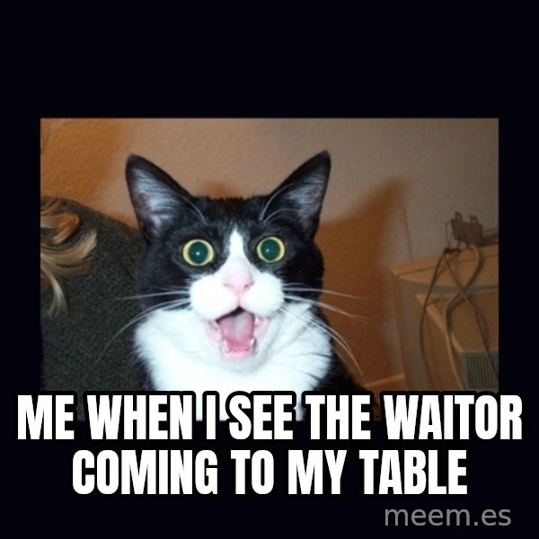 shocked cat meme: me when i see the waitor coming to my table