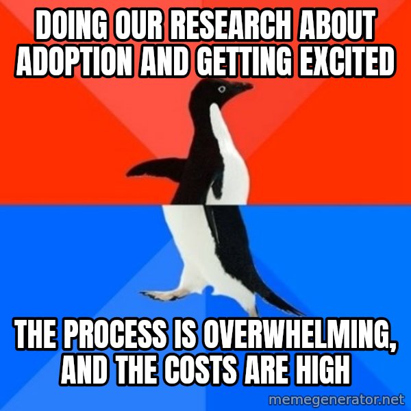 Socially Awesome Awkward Penguin meme: doing our research about adoption and getting excited / the process is overwhelming, and the costs are high