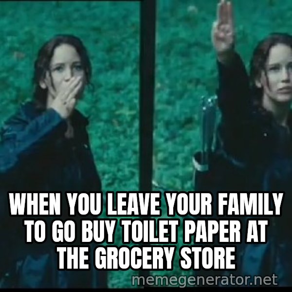 Hunger Games Katniss Salute meme: When you leave your family to go buy toilet paper at the grocery store