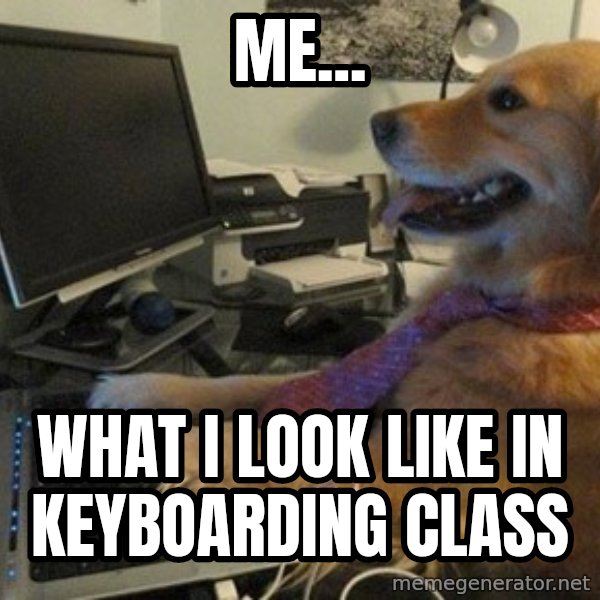 I have no idea what I'm doing - Dog with Tie meme: me... / what i look like in keyboarding class