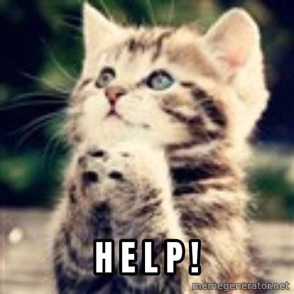 Praying Kitten meme: H e l p !
