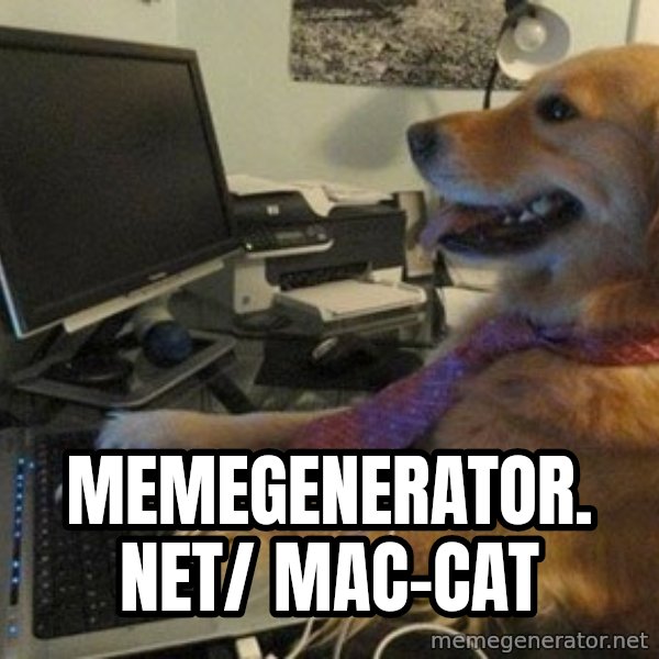 I have no idea what I'm doing - Dog with Tie meme: memegenerator. net/ mac-cat