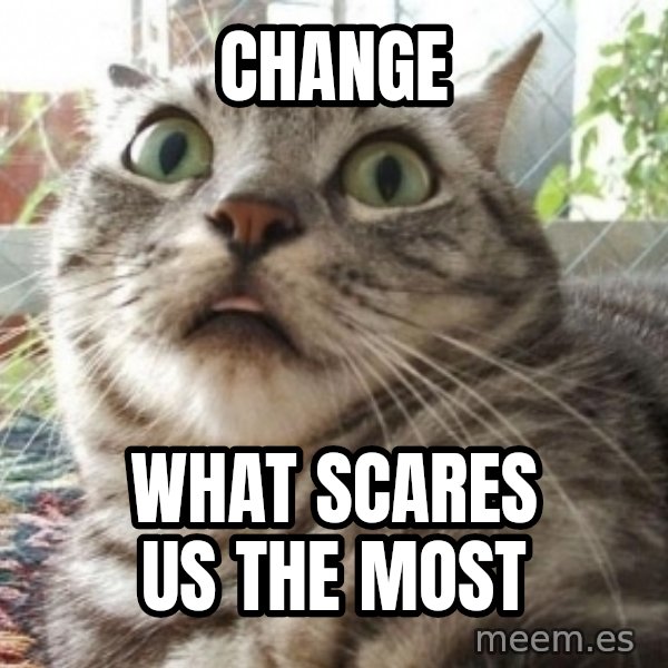 scared cat meme: Change / What Scares Us The Most
