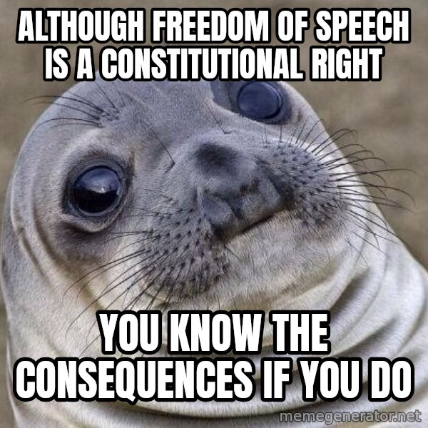 Awkward Seal meme: Although freedom of speech is a constitutional right / You know the consequences if you do