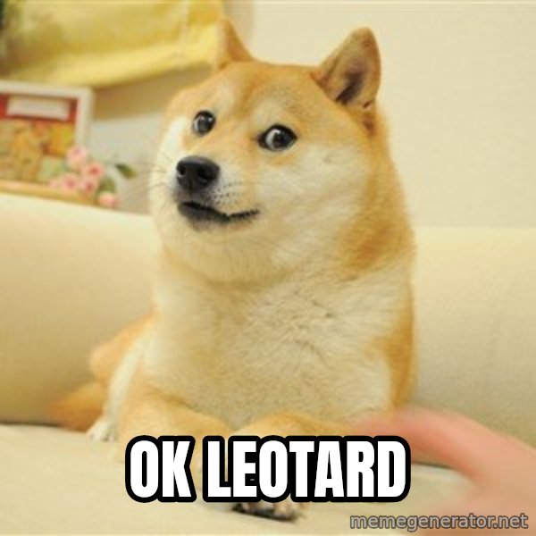 so doge meme: ok  leotard