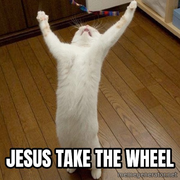 praise the lord cat meme: Jesus take the wheel